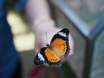 Midsection of person standing with butterfly