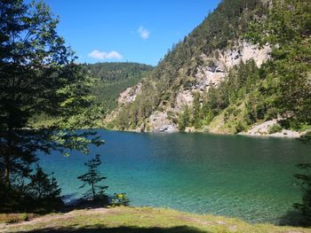 Scenic view of lake by trees against sky