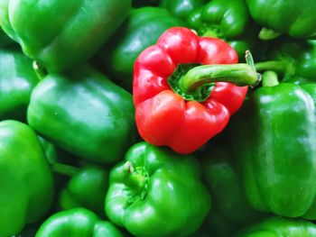 Close-up of bell peppers for sale in market