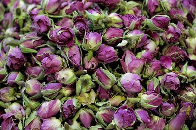 Full frame shot of purple flowers in market