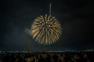 Low angle view of firework display at night