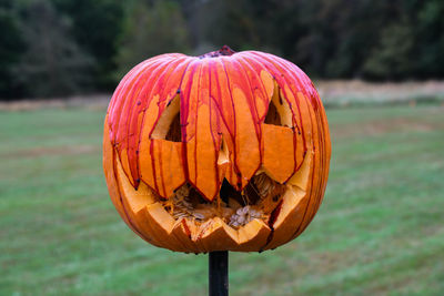Close-up of pumpkin on field