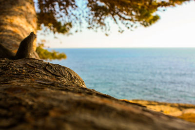 Scenic view of rocks by sea against sky