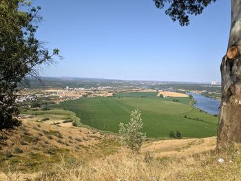 Scenic view of landscape against clear blue sky