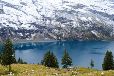 Scenic view of lake in forest