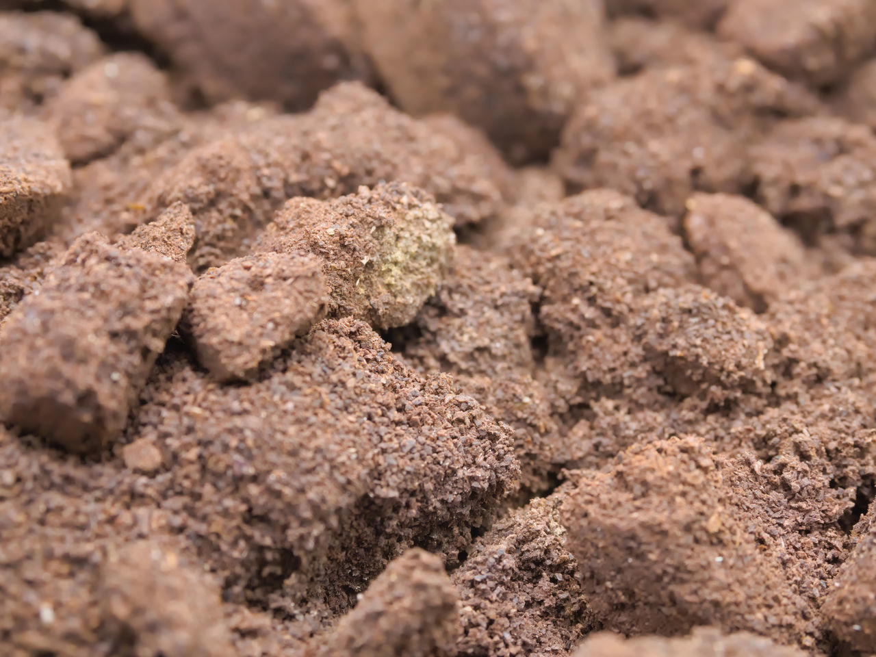 FULL FRAME SHOT OF BREAD ON GROUND