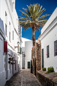 Lane amidst buildings in town