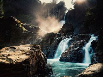 Scenic view of waterfall in forest