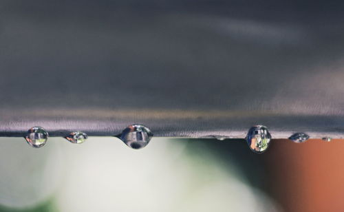 Close-up of water drops on metal