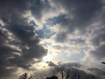 Low angle view of tree against cloudy sky