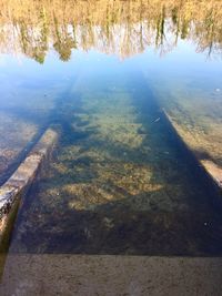 High angle view of lake in forest