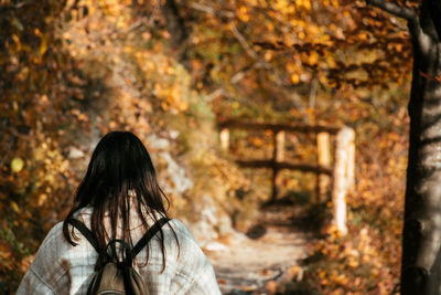 Rear view of woman walking on wooden path in forest in autumn.