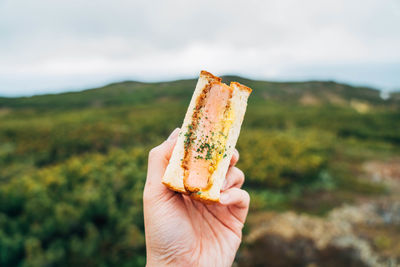 Close-up of hand holding sandwich against sky