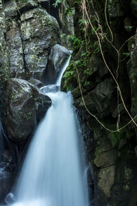 Scenic view of waterfall in forest