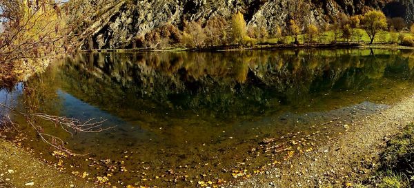 Reflection of trees in water