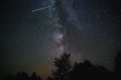 Silhouette trees against star field at night