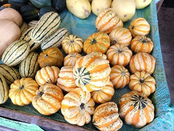 High angle view of pumpkins for sale in market