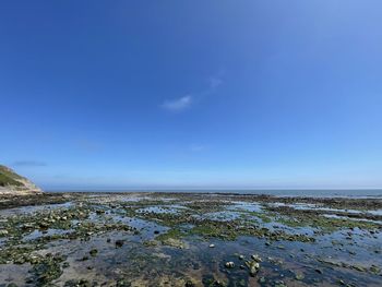 Scenic view of sea against blue sky