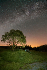 Trees on field against sky at night