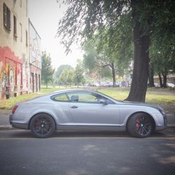 Cars parked on road