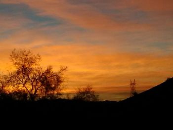 Silhouette of trees at sunset