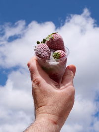 Cropped hand of person holding strawberry