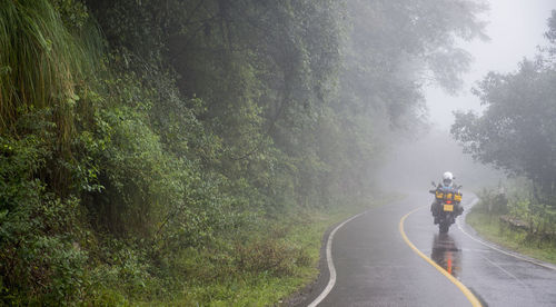 Woman riding touring motorbike through rain forest, jujuy / argentina