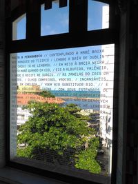 Plants seen through glass window of building