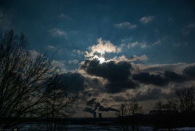 Low angle view of silhouette trees against sky during sunset