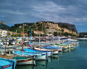 Boats moored in harbor