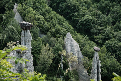 Scenic view of waterfall in forest