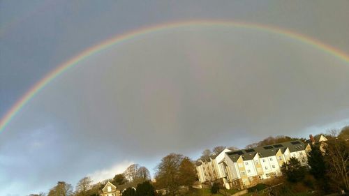 Rainbow over trees