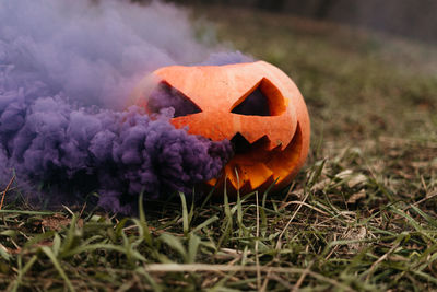 Close-up of pumpkin on field with purple smoke on halloween 