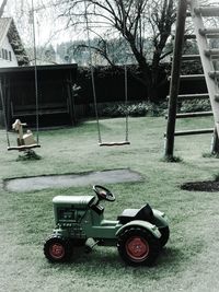 Vintage car on tree