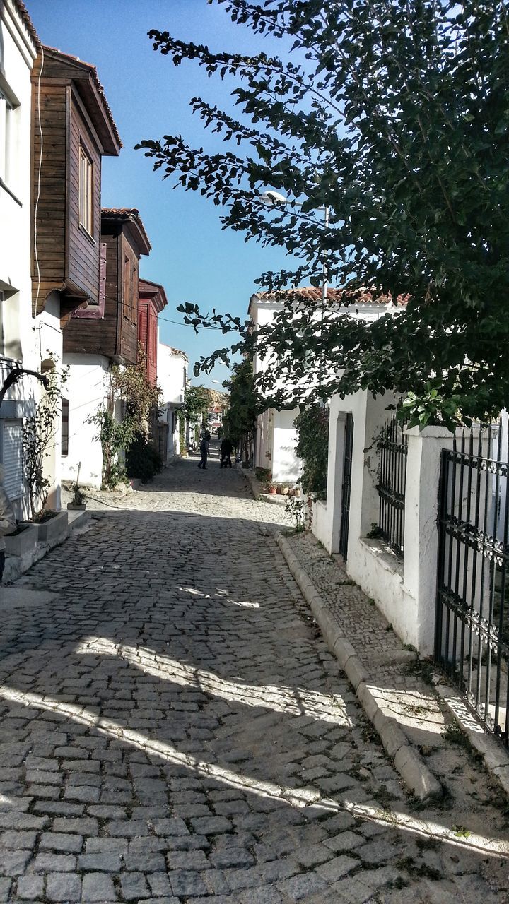 building exterior, built structure, architecture, tree, street, the way forward, cobblestone, sunlight, road, sidewalk, clear sky, day, outdoors, city, no people, empty, street light, footpath, growth, plant