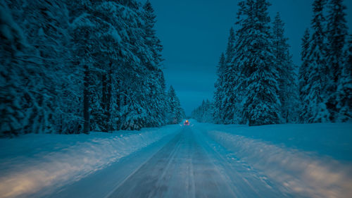 Road amidst trees