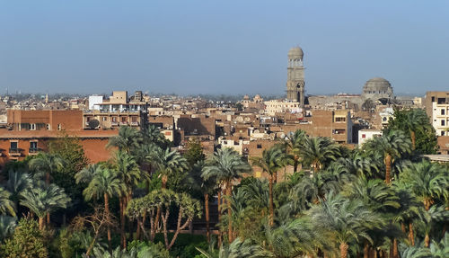 Panoramic view of plants against clear sky