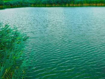 Scenic view of lake
