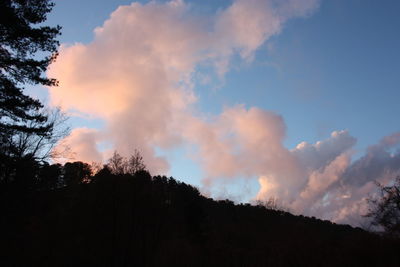 Low angle view of silhouette trees against sky during sunset