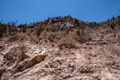 Rock formations on landscape against clear blue sky