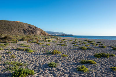 Scenic view of sea against clear blue sky