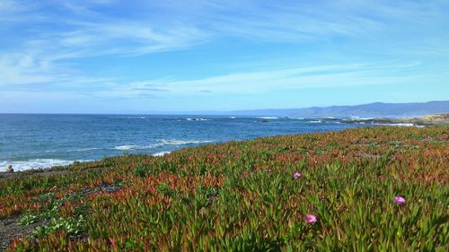 Scenic view of sea against sky