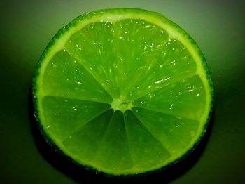 Close-up of fruit on tree