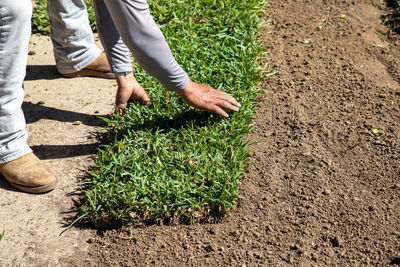 Low section of man working on field