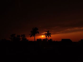 Silhouette palm trees against sky at sunset