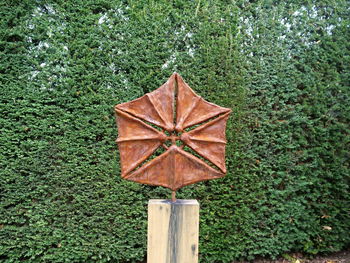 High angle view of wooden post on plant