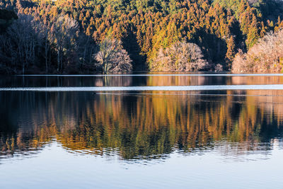 Reflection of trees in lake during autumn