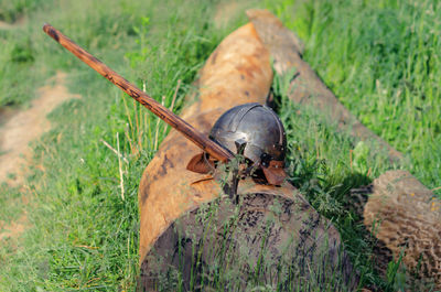 View of ancient viking armor lying on a wooden log. helmet and ax. historical photo concept.