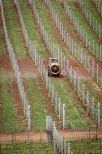 View of agricultural field