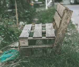 Close-up of wooden logs in field